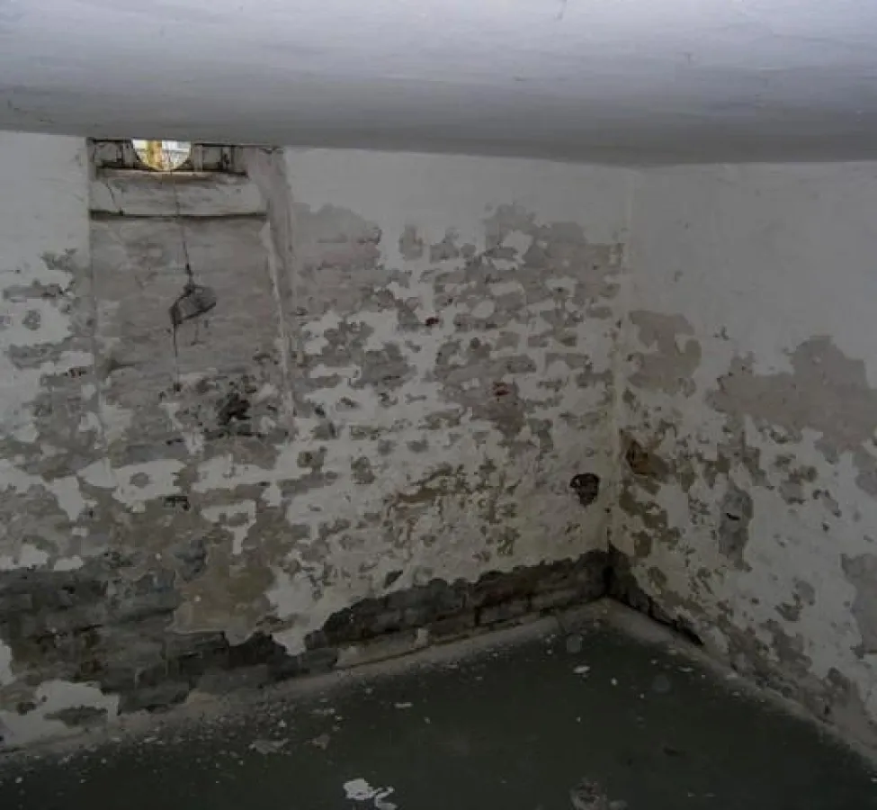 Feuchtigkeitsschäden im Keller