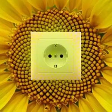 Bild: Der Meinungswandel, die politischen Entscheidungen und die Proteste zeigen, dass ein Umdenken begonnen hat