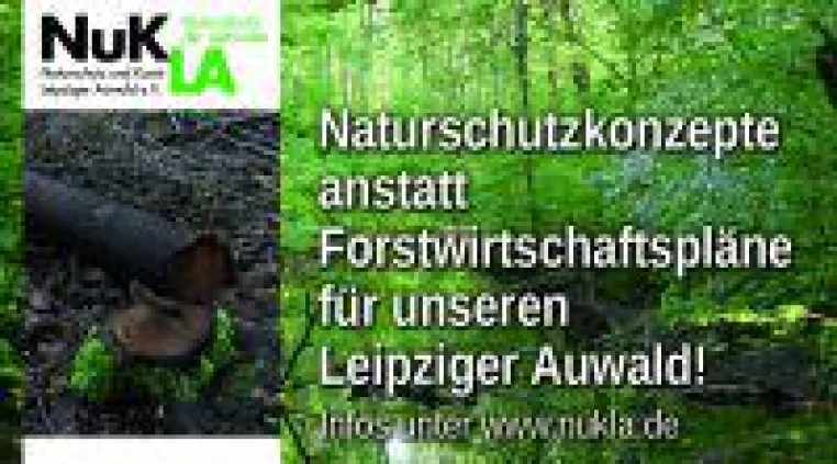 Naturschutzkonzepte statt Forstwirtschaftspläne Bild: Naturschutzkonzepte statt Forstwirtschaftspläne