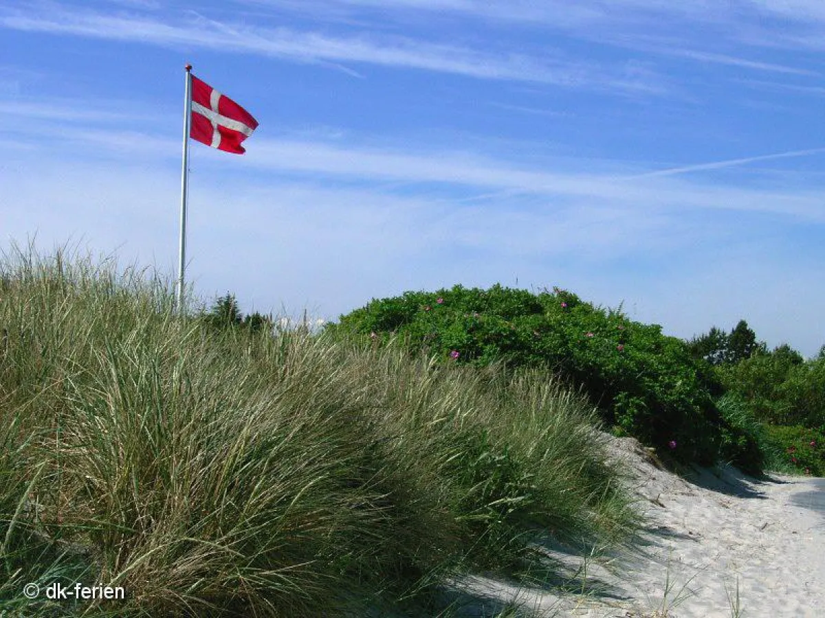 Schweizer planen Sommerurlaub in Dänemark. Foto: dk-ferien
