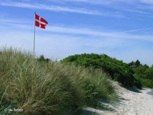 Bild: Schweizer Urlauber zieht es nach Dänemark