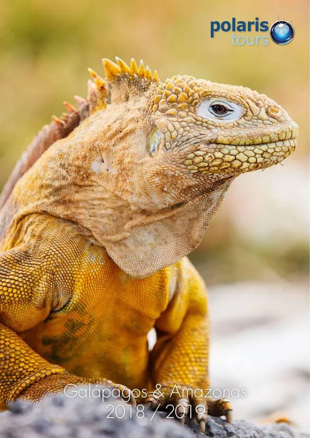 Katalog Galápagos / Amazonas