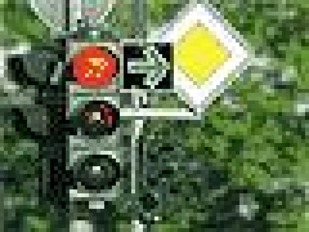 Die Kraft der Symbole