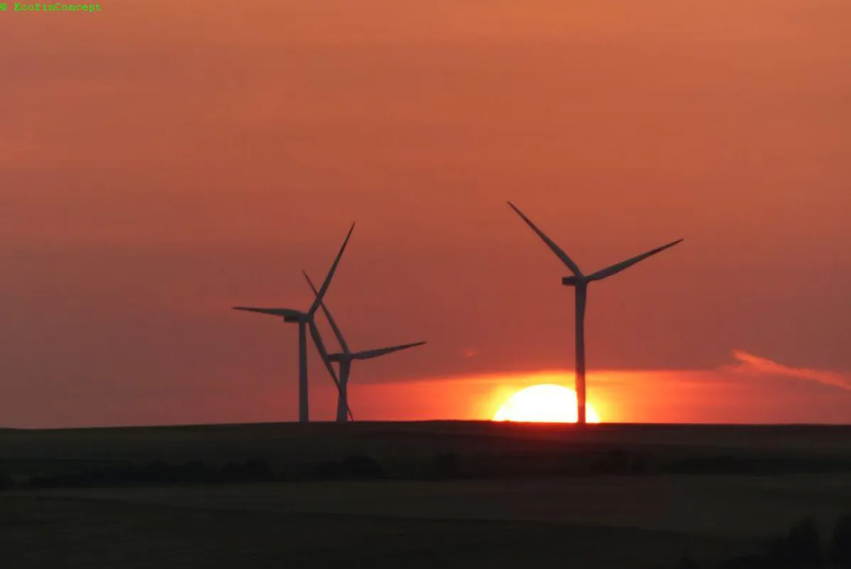 NORDEX Windpark