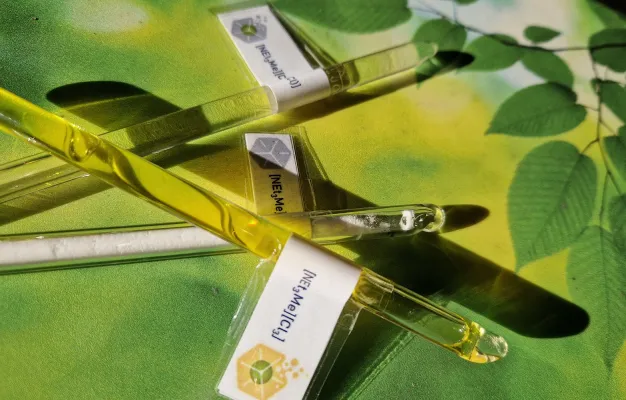 Bild: 10 Jahre Förderung für Nachhaltigkeitsforschung