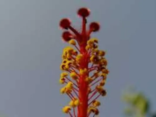 Bild: Kreta Mythos und Natur