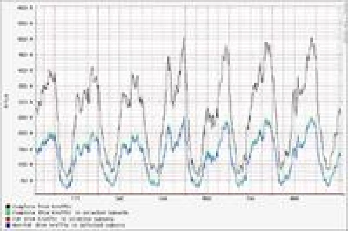 Wochenstatistik August 2006: P2P-Verkehr wird stark gedrosselt