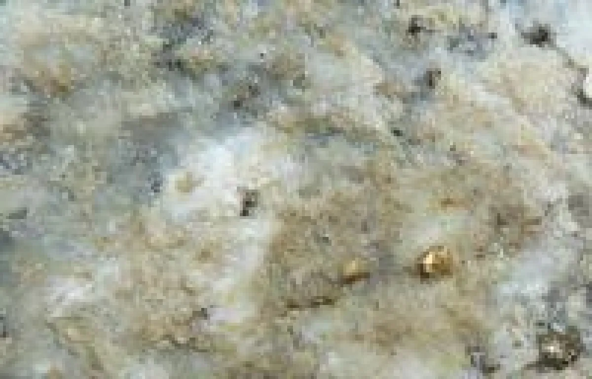 Sichtbares Gold in einem Bohrkern von Rovina Valley; Foto; Euro Sun Mining