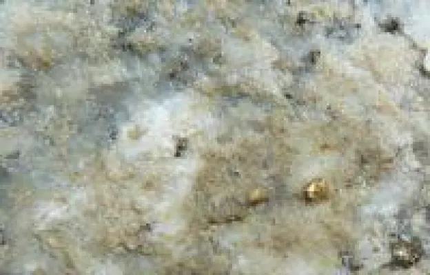 Bild: Eklatante Unterbewertung: Goldgesellschaft vor dramatischem Rebound?