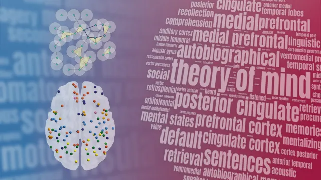 Bild: Mathematik entschlüsselt Gehirnveränderungen