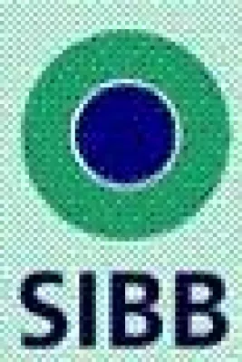 Bild: IT-Wirtschaft in der Hauptstadtregion: SIBB-Frühjahrsreport 2006