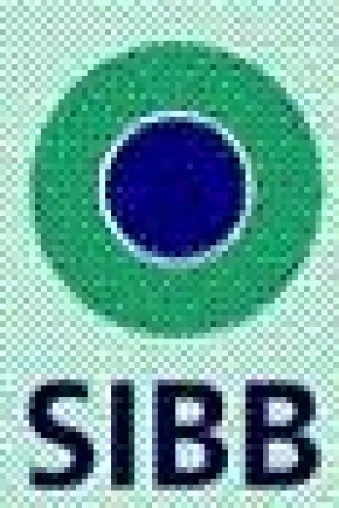 IT-Wirtschaft in der Hauptstadtregion: SIBB-Frühjahrsreport 2006 Bild: IT-Wirtschaft in der Hauptstadtregion: SIBB-Frühjahrsreport 2006