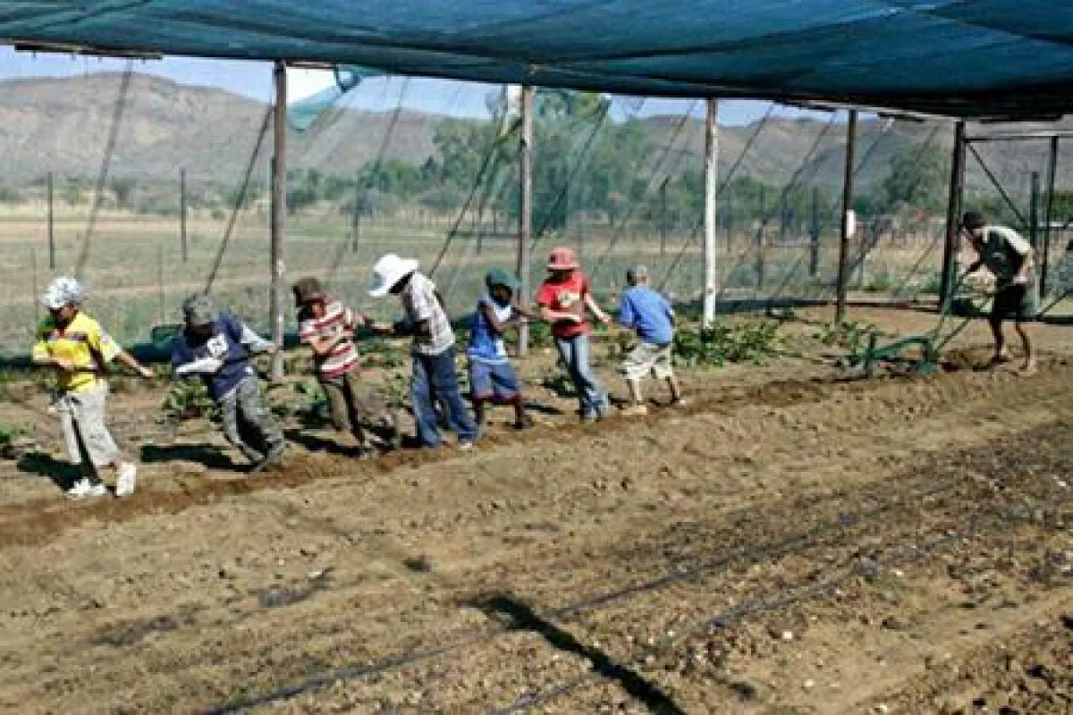 Kinder und Jugendliche der Waldorfschule Windhoek sind nicht nur beim Schulunterricht, sondern auch beim praktischen Training mit Freude aktiv debei.