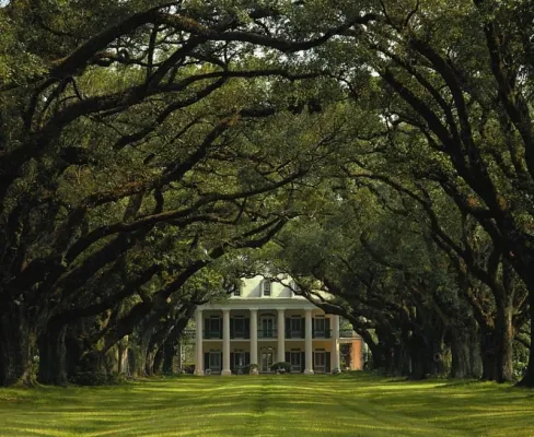 Bild: Auf den Spuren von Scarlett O’Hara: Zeitreise in die Vergangenheit und Gegenwart des „Grand Old South“