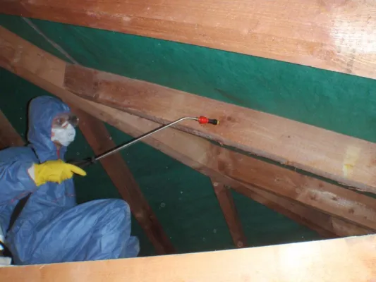 Produktvorstellung Jati-Protect Bild: Produktvorstellung Jati-Protect