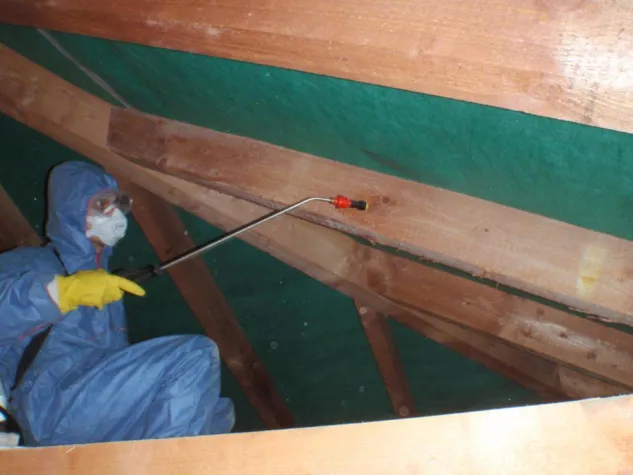 Produktvorstellung Jati-Protect Bild: Produktvorstellung Jati-Protect