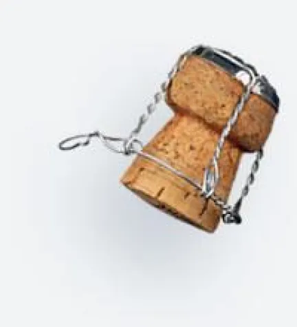 Bild: Was Sie schon immer über Champagner wissen wollten