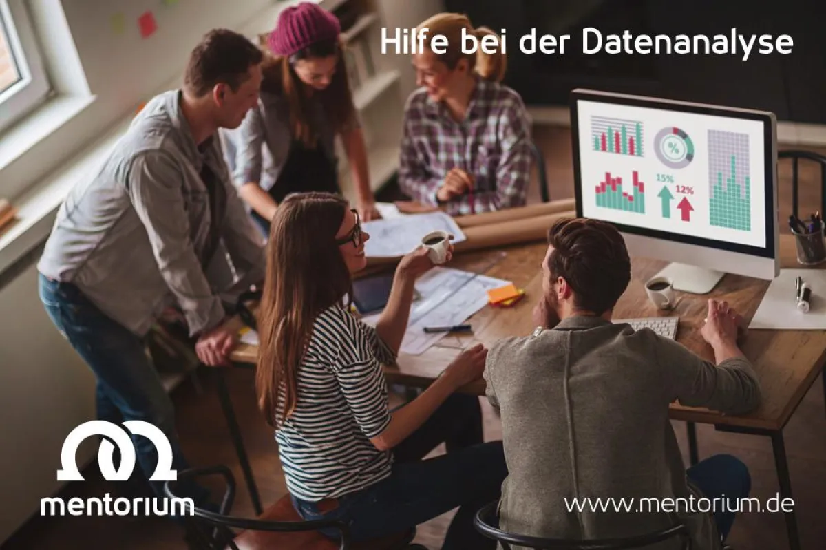Hilfe bei der Datenanalyse mit SPSS, R, Stata und Excel