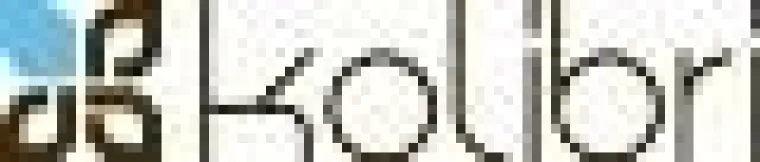 Kolibrishop und Roxy verlosen VIP-Tickets für das Roxy Jam in Biarritz Bild: Kolibrishop und Roxy verlosen VIP-Tickets für das Roxy Jam in Biarritz