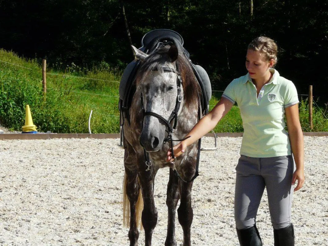 Wissen rundum das Pferd: EPA