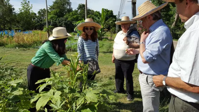Magdeburg in Thailand: "Königliche Stiftungen" beim Nature Farming beispielhaft Bild: Magdeburg in Thailand: "Königliche Stiftungen" beim Nature Farming beispielhaft