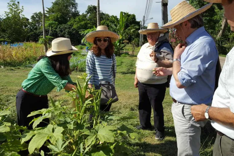 Magdeburg in Thailand: "Königliche Stiftungen" beim Nature Farming beispielhaft Bild: Magdeburg in Thailand: "Königliche Stiftungen" beim Nature Farming beispielhaft