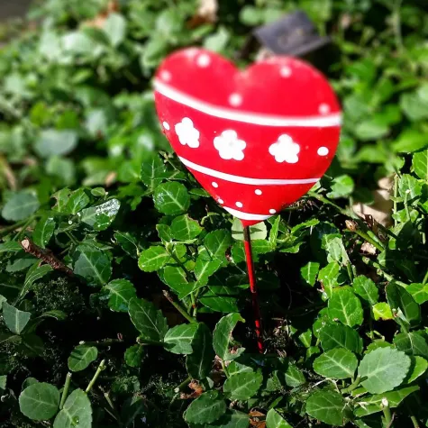 Bild: Was macht uns das Trauern so schwer?