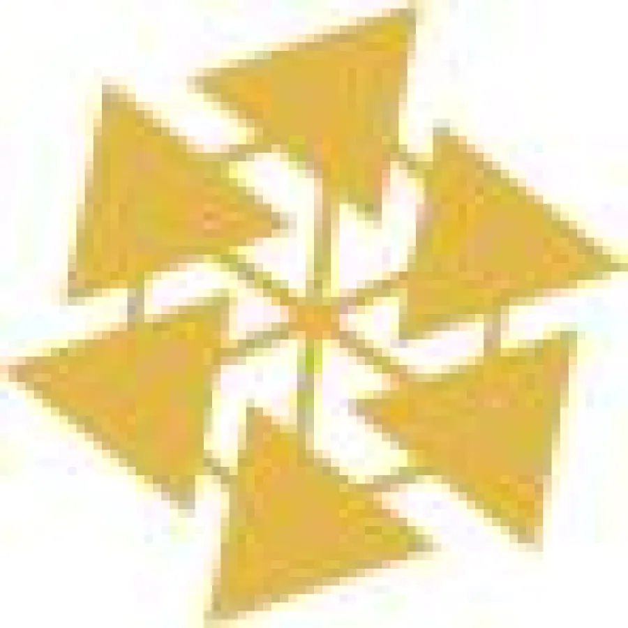 Modeling Guidelines Interest Group (MGIGroup)