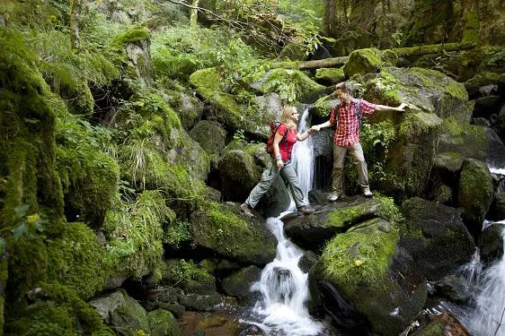 Bild: Wanderopening im ZweiTälerLand - die erste Qualitätsregion Baden-Württembergs