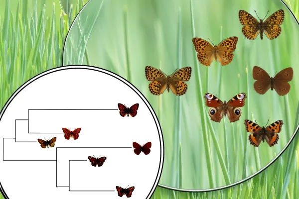 Bild: Der KI die Brille der Evolution aufsetzen