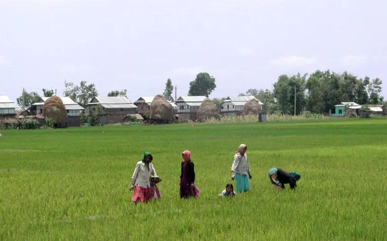 ADB-Studie: Mehr Nahrung mit weniger Wasser für Südasien Bild: ADB-Studie: Mehr Nahrung mit weniger Wasser für Südasien