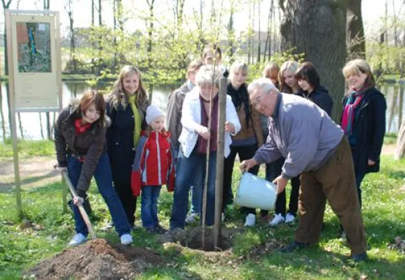 Bild: Vogelkirschen zum Tag der Parks und Gärten in Naunhof