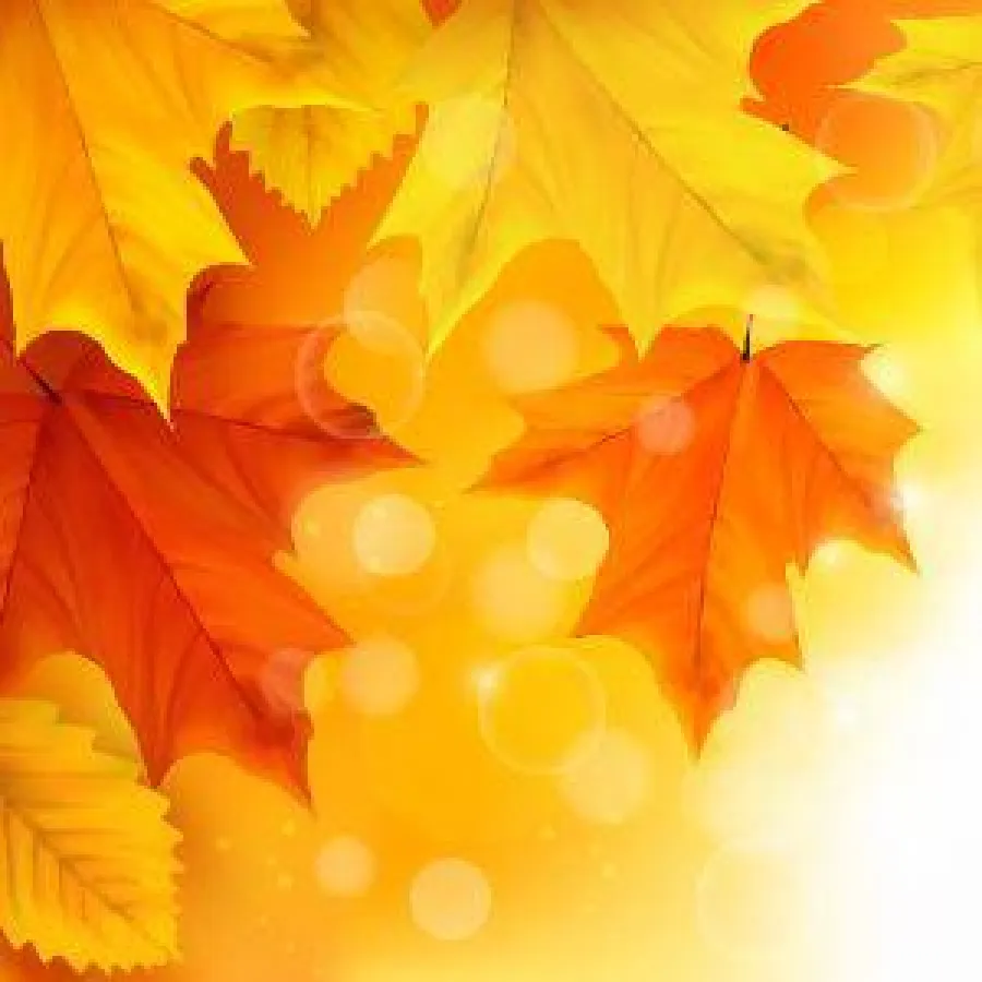 Den Herbst als ideale Zeit für eine Tattooentfernung nutzen / ©freepik.com