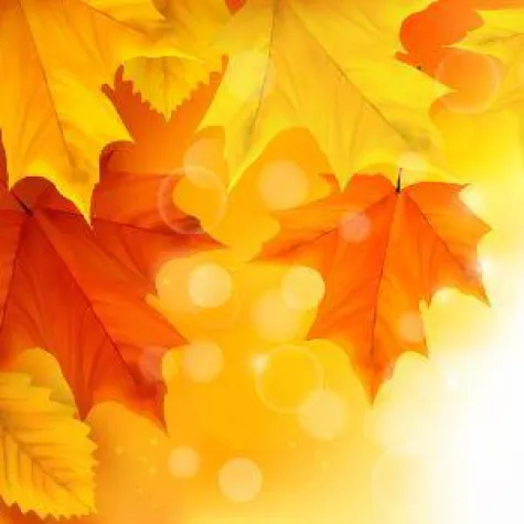 Bild: Laderma: Der Herbst lässt Tattoos verblassen