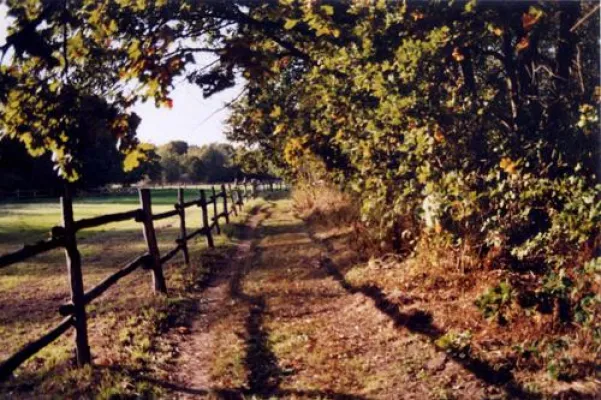 Bild: Mal- und Zeichenakademie Leipzig/Land