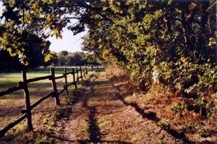 Bild: Mal- und Zeichenakademie Leipzig/Land