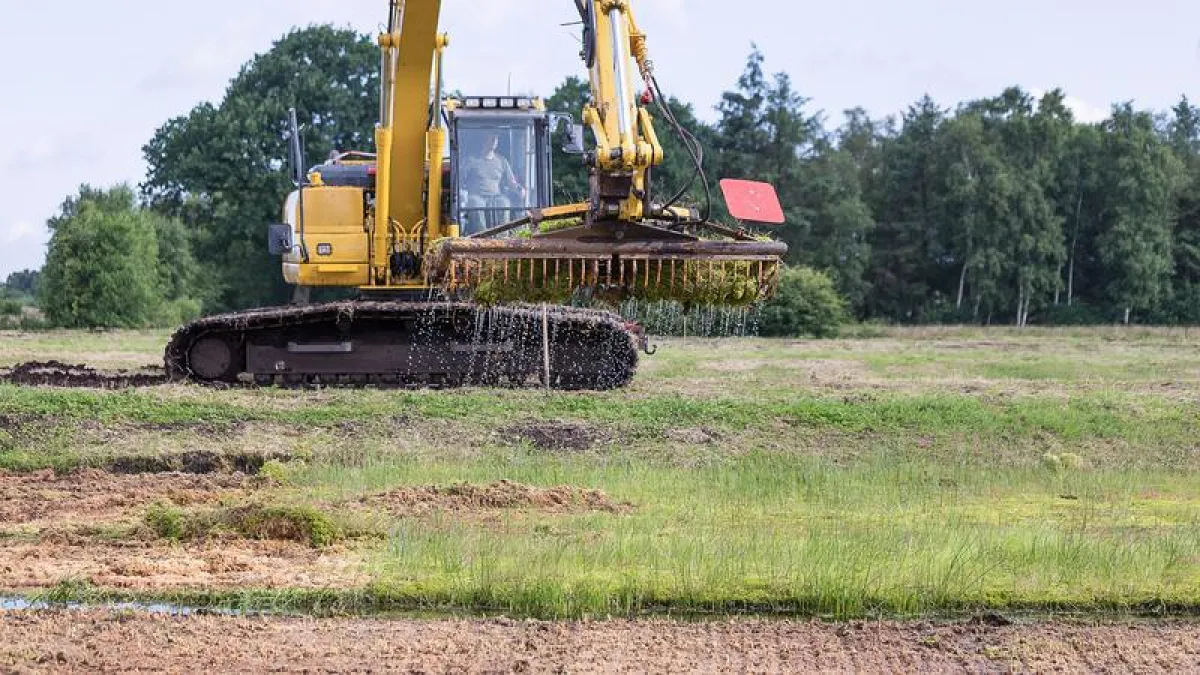 The world’s first mechanical Sphagnum harvest at Hankhauser bog  (Photo: Philipp Schröder)