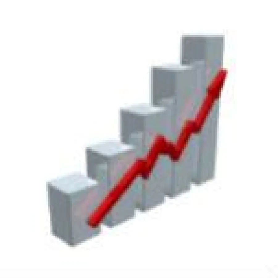 Expense Reduction Analysts: Eine Geschäftsidee die mit stabilen Wachstumszahlen punkten kann. Auch in Krisenzeiten