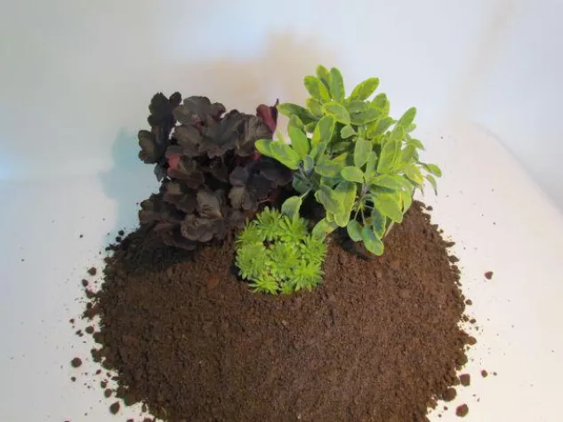 Bild: HYDRALIT S: Staudensubstrate für beste Ergebnisse