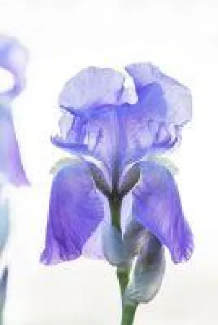 Bild: Aktuelle Kunst in Hamburg von Sylvia Knittel und Hans Braumüller