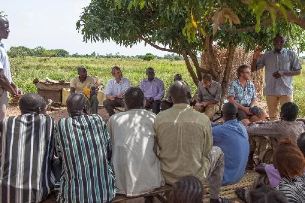 Bild: Baumwolle fairtrade und biologisch (OFT): Cotonea weltweit zweitgrößter Verbraucher