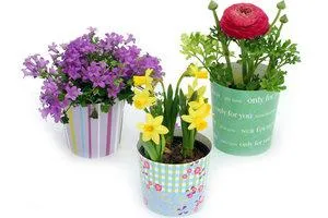 Bild: flexypot Design-Manschetten aus Papier – die neue Geschenkverpackung für Topfpflanzen.