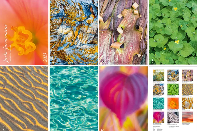 Bild: Sinnliche Naturdetails ganz nah - der große Wandkalender 2023