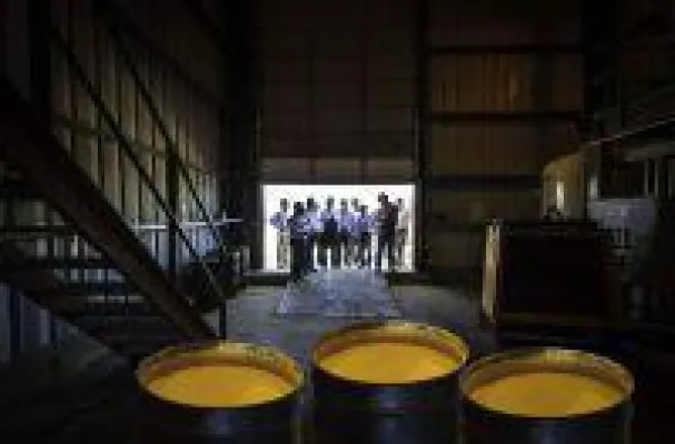 Bild: Japan setzt wieder auf Atomstrom