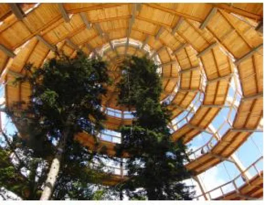 Bild: Architekturkunst im Bayerischen Wald – Baumwipfelpfad und Steinwelten