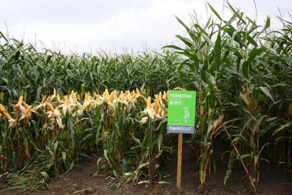 Bild: FarmSaat AG erhält Sortenzulassungen in Deutschland und der Schweiz
