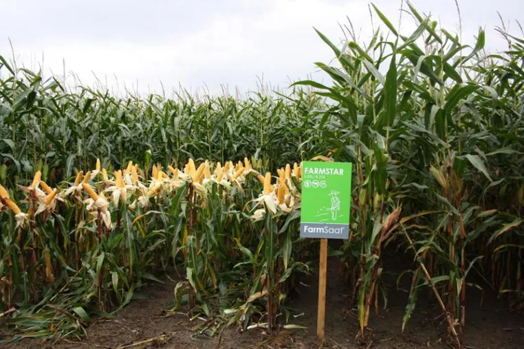 FarmSaat AG erhält Sortenzulassungen in Deutschland und der Schweiz Bild: FarmSaat AG erhält Sortenzulassungen in Deutschland und der Schweiz