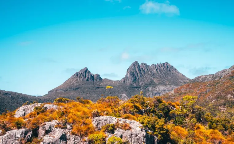 Bild: Tasmanien Mietwagenreise – Naturschönheit im Süden Australiens