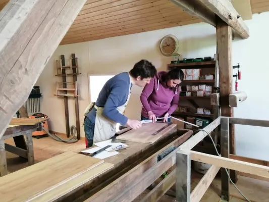 Bild: Mit Weihnachtsgeschenken das Klima retten