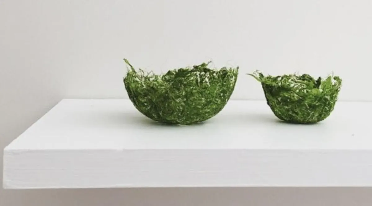 UNSW - Jessica Zinga´s Sea Harvest (University of New South Wales)